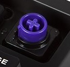 File:CM Novatouch TKL -- Switch Small.jpg