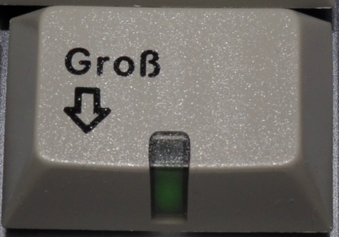 File:Cherry19 gross 001.jpg