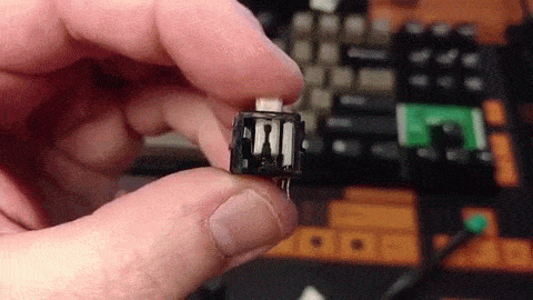 File:Alps SKCM -- tactile leaf cross section.gif