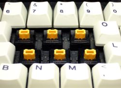 Amber switches, front view