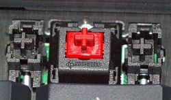Keycaps/switches 3 (Cherry MX red w/stabilizers)
