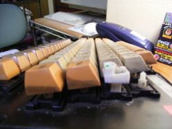 Vertical reed switch, side view with keycaps.<ref name="n860_9201"/>