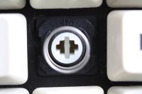 BTC foam and foil (variant)