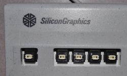 Ivory Alps switches