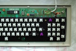 NMB Hi-Tek switches detail