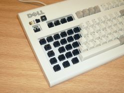 Bamboo Black Alps switches