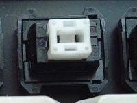 Alps plate spring