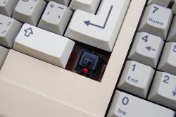 Switches with LEDs fitted require diodes to be external
