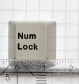 Num Lock Key