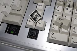 MX Black switches with green indicator LED (left) and LED (right)