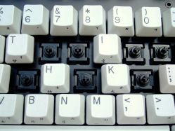 Switches (excluding space bar)
