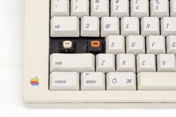 Alps SKCL Lock and SKCM Orange switches