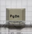 Page Down Key