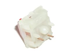 Fixing pins are present on all translucent-shell switches