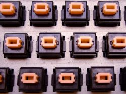 Salmon Alps switches