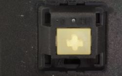 Top, HCP branded