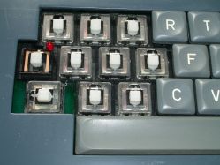 RAFI RS 74 switches