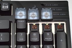 Keycaps/switches 3