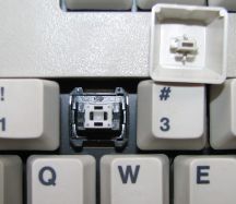 Keyboard with plate spring switch from a P70/P75 keyboard