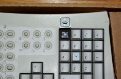 Numeric keypad Alps SKFS