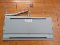 complete view of the back