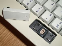Salmon Alps switch