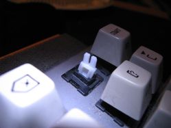 Plate mounted on Olympia typewriter keyboard