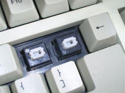 White Alps switches