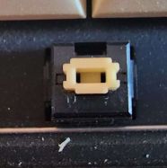 Top view of the early SKCL Cream stem.