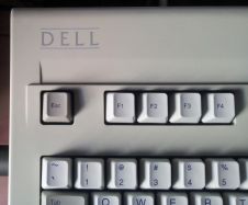 Dell Old Logo
