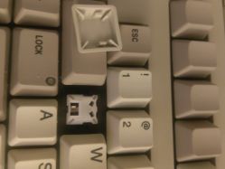 Hi-Tek switch and keycap