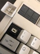 Alps clone switches