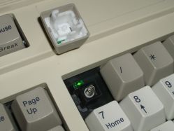 Slider removed from the switch, but with the keycap still affixed