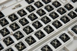 Switches, bottom