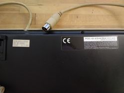 rear labels