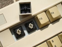 White tactile switches