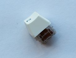 Keycaps fit Alps switch mount