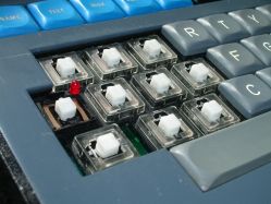 RS 74 M switches in a Neve Necam 96 keyboard