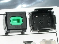 Shell detail, top and inside