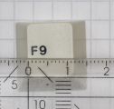 F9 Key