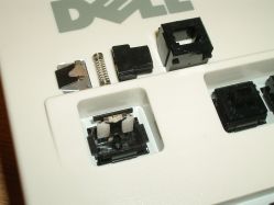 Short, white switchplate in the Bamboo Black Alps switch