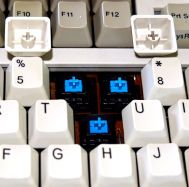 Keycaps/switch closeup 1