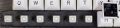 Variant 1 switches