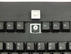 Futaba switch, and double-shot keycap