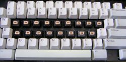 Salmon Alps switches