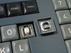 Regular switch and double-shot keycap