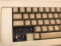 Alps SKCC Brown switches, different angle