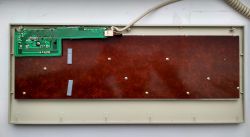 Back internal
