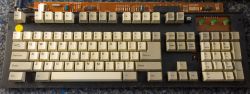 Case removed with Alps SKCM White
