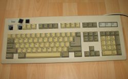 Brown SMK switches
